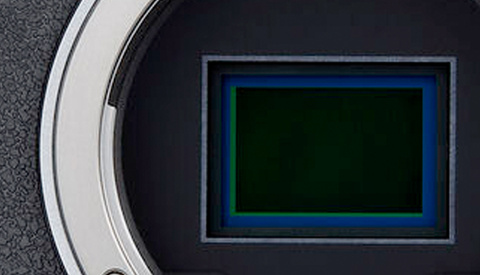 Canon Is Planning a Big Camera Release Later This Year