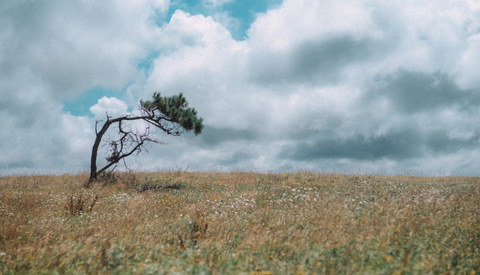 7Artisans 75mm f/1.4 Review: A Budget Lens With Surprising Character