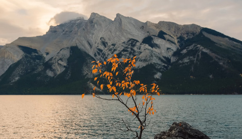 Why the Fujifilm GFX 100S II Might Be the Ultimate Stills Camera