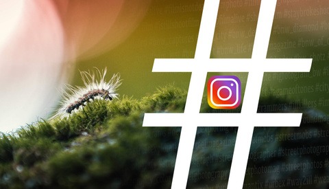 The Best Hashtags to Get Your Photos Seen on Instagram in 2018